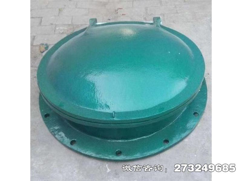 蠡县玻璃钢拍门