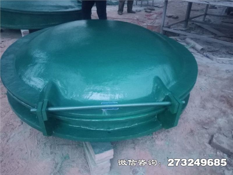 蠡县耐腐蚀管道拍门