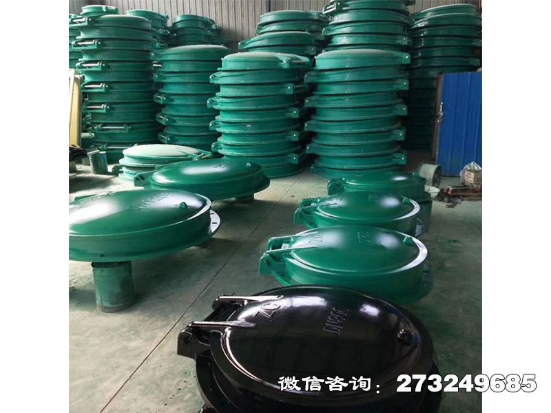 团风县玻璃钢止回拍门