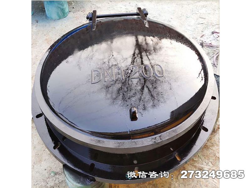 团风县防倒灌玻璃钢拍门