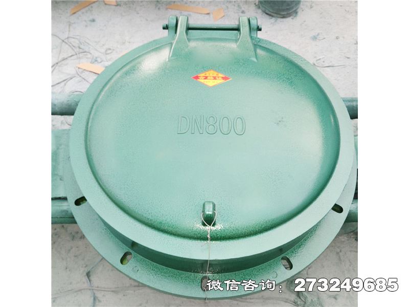 永靖县玻璃钢自动启闭拍门