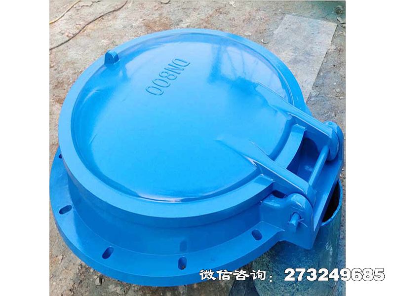 永靖县单向水流控制拍门