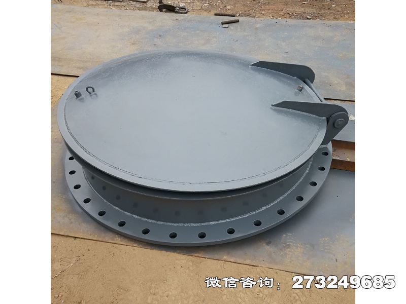 寻甸县泵站防逆流不锈钢拍门