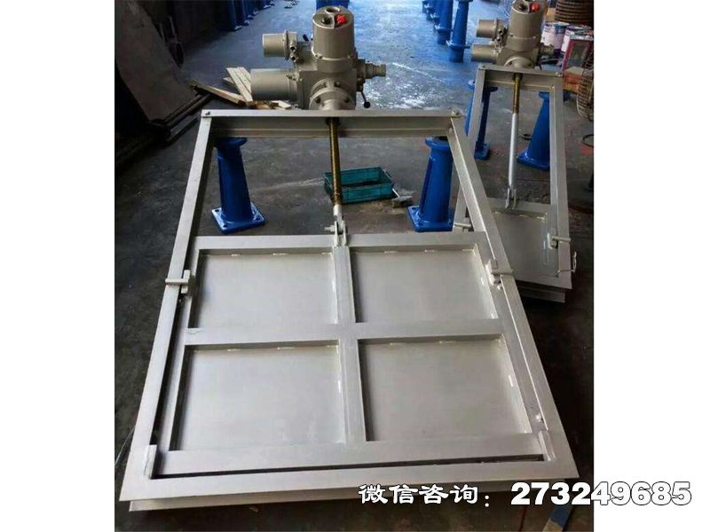 永靖县316L不锈钢机闸一体闸门