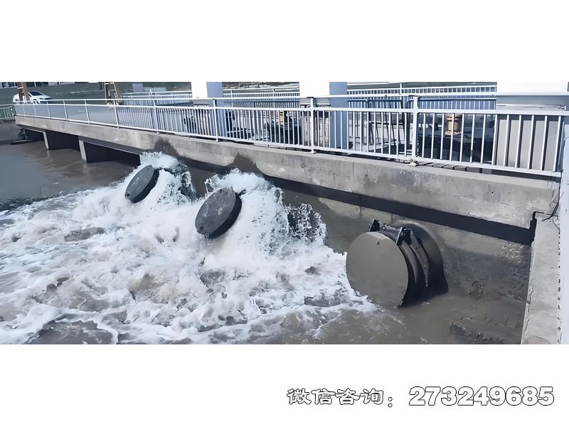 晋源内河潮门拍门