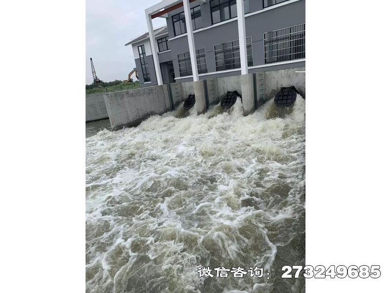 晋源防潮堤潮门拍门