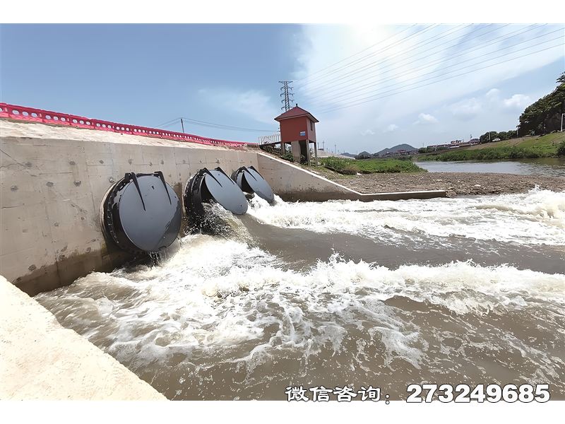 镇雄县蓄滞洪区潮门拍门