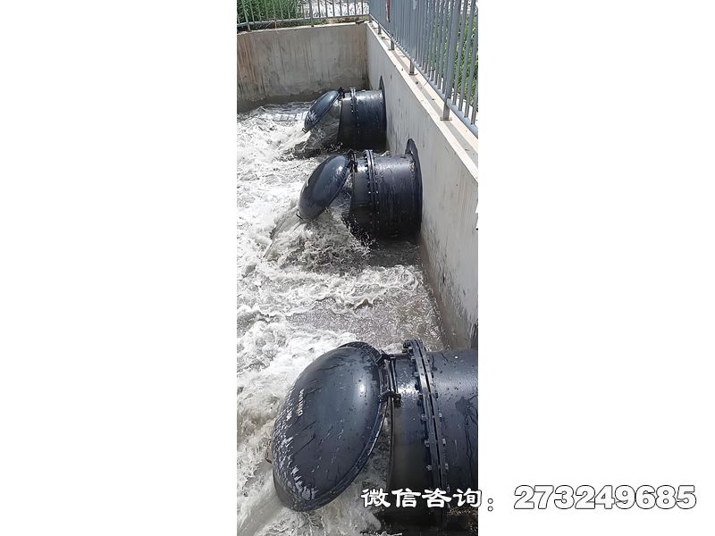 镇雄县污水处理厂潮门拍门