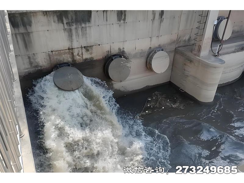 团风县隧道排水口潮门拍门
