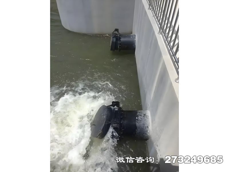 涪陵河道潮门拍门