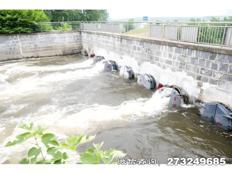 团风县河道防洪堤排水潮门拍门