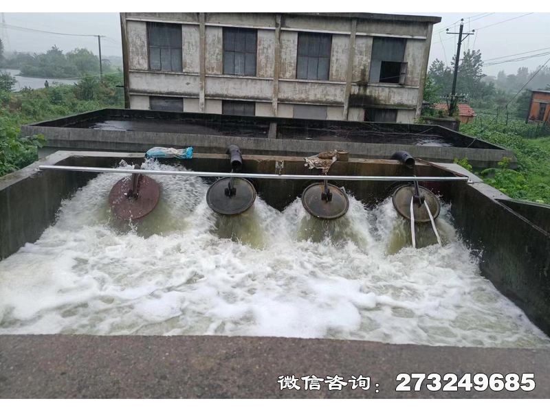 团风县行洪区退水口潮门拍门