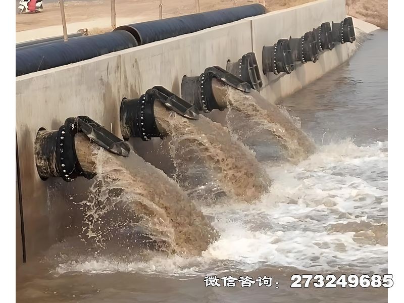 团风县蓄滞洪区分洪闸潮门拍门