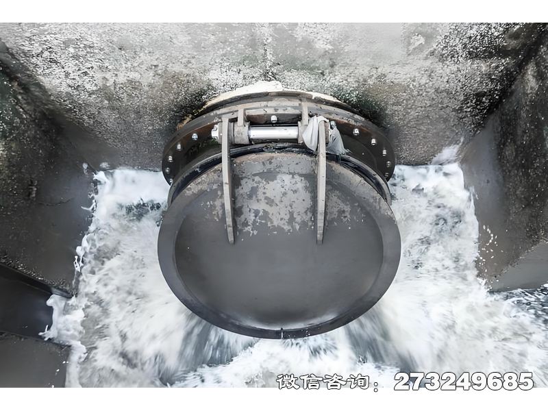 团风县河道排水潮门拍门