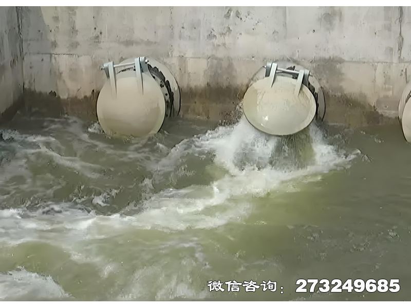 团风县河道生态护岸排水潮门拍门