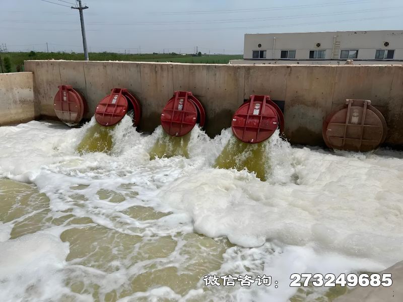 团风县河口整治工程潮门拍门