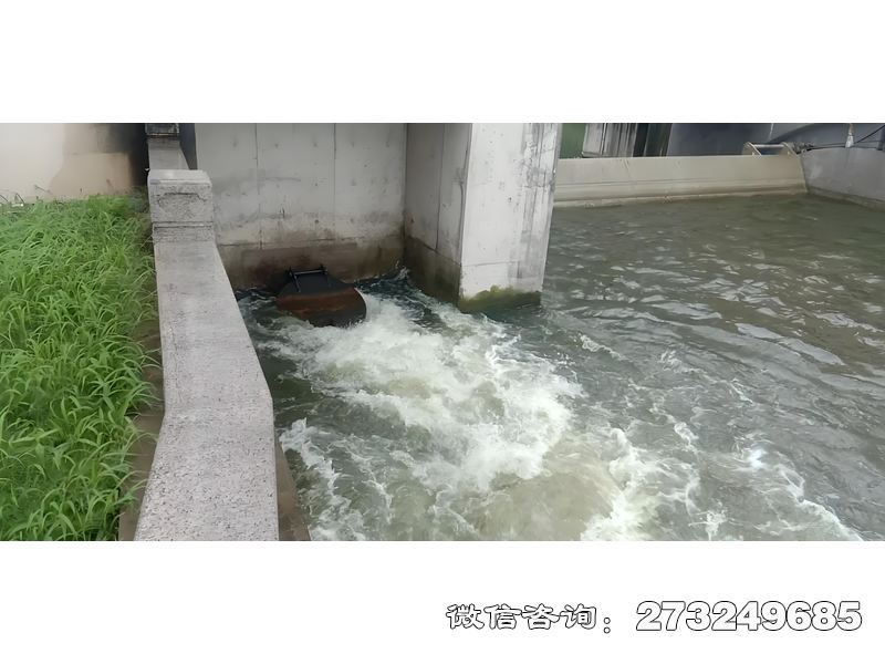 团风县海塘防潮闸潮门拍门