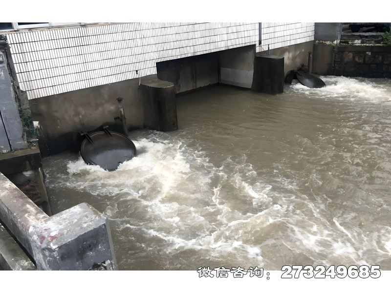 涪陵泵站潮门拍门