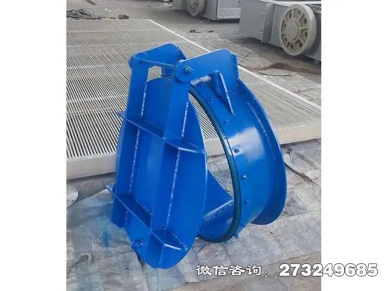 永靖县水库钢制防倒灌拍门