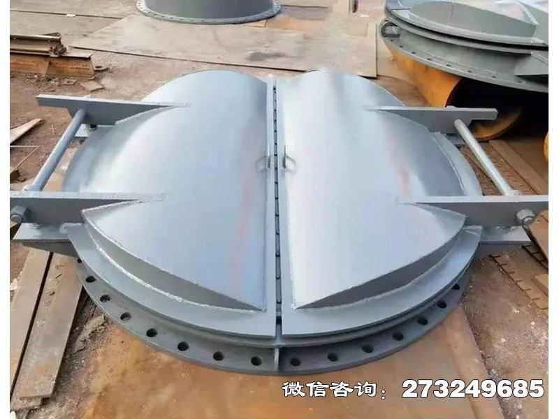 凌河防潮钢制海堤拍门