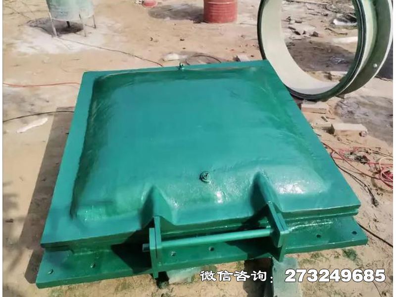 永靖县河道钢制排水拍门