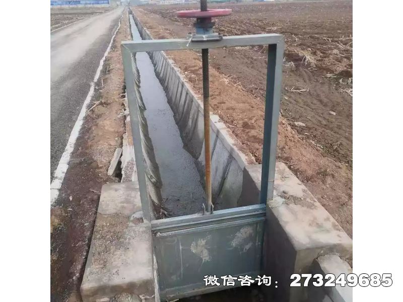 临夏州抗磨钢制含沙闸门