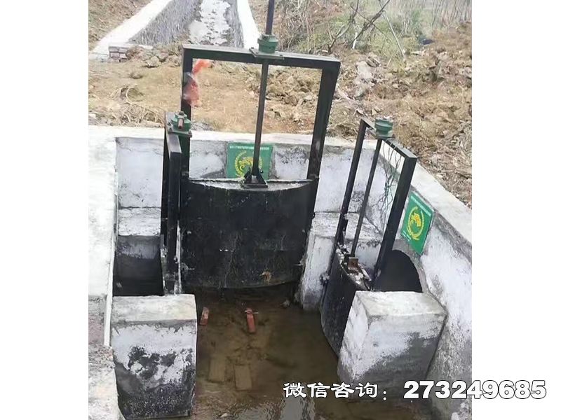 蠡县分水灌渠机闸一体闸门