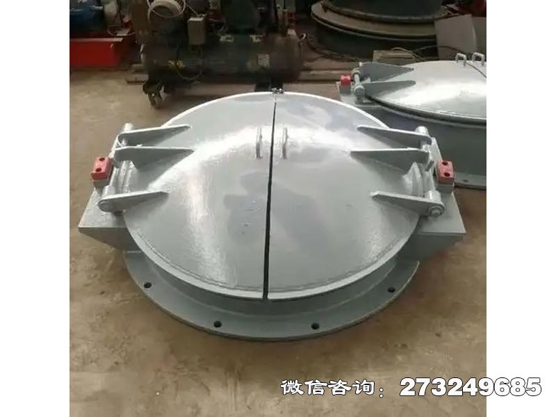 渭城铸铁圆型导流拍门