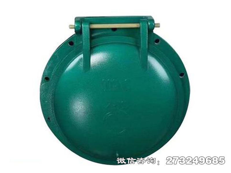 团风县铸铁圆型潮汐防倒灌拍门