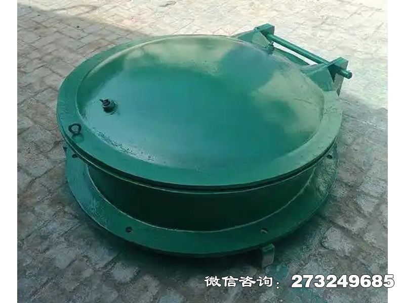 团风县铸铁圆型一体化泵站拍门