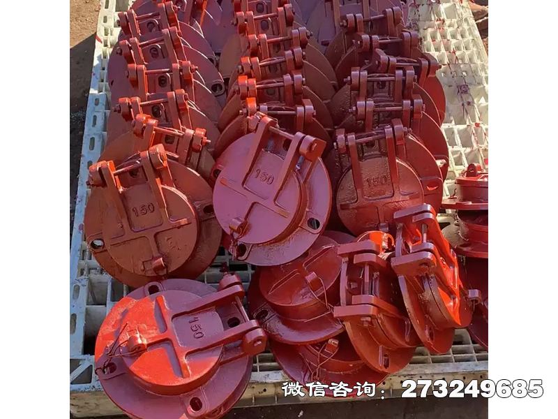 蠡县方形泵站铸铁挡水闸
