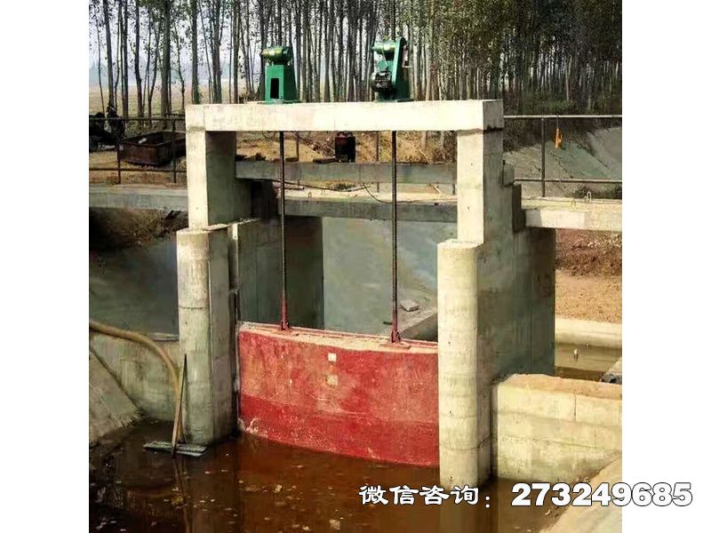 壤塘县方形堤坝铸铁挡水闸